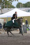Vinder af 5 års springchampionat i 2008 med hoppen Cadini e. Carano/Eskudo. 
Avler: Niels Johansen