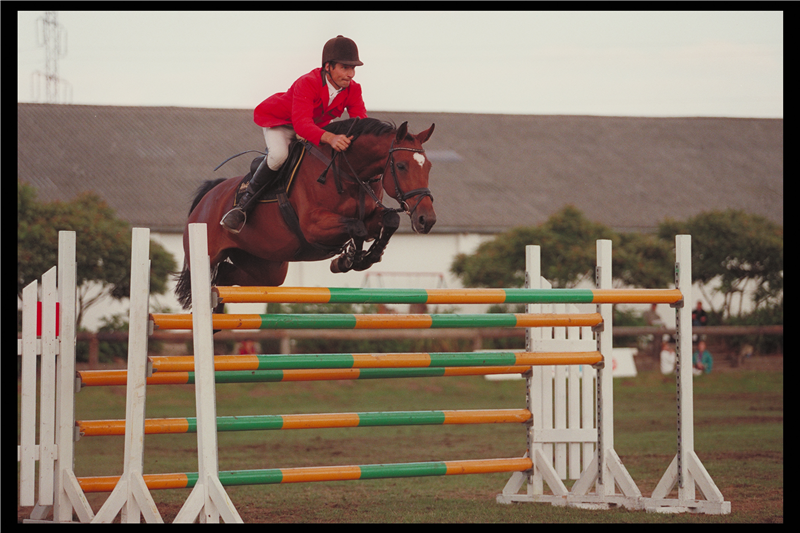 Bermuda e. Racot/Atlantic
Sejr i SB til landsstævne på Dalumgaard 1996, vundet internationale klasser, world cup stævne i Wroclaw (Polen) 
Bermuda er mor til flere heste som hans i dag rider internationalt på. bl.a Kong's Babados
