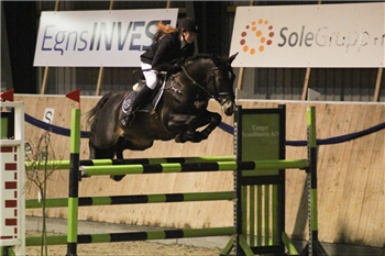 Anne Stine Kibæk Hansen har utallige internationale og nationale placeringer på hendes ponyer. Resultater der bør fremhæves kan bl.a nævnes EM på Vilhelmsborg 2016 
Nordisk mesterskab 2016
Sølvvinder DM 2017